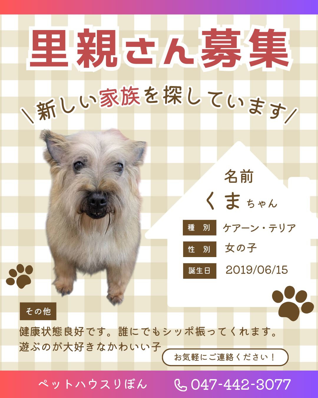 犬 の 里親 募集